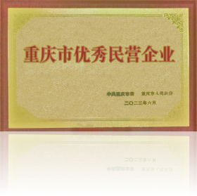 重慶市優秀民營企業獎